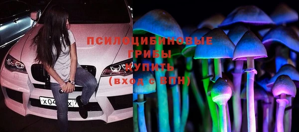 2c-b Лагань