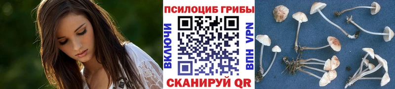 Купить  Вуктыл  Галлюциногенные грибы мухоморы 